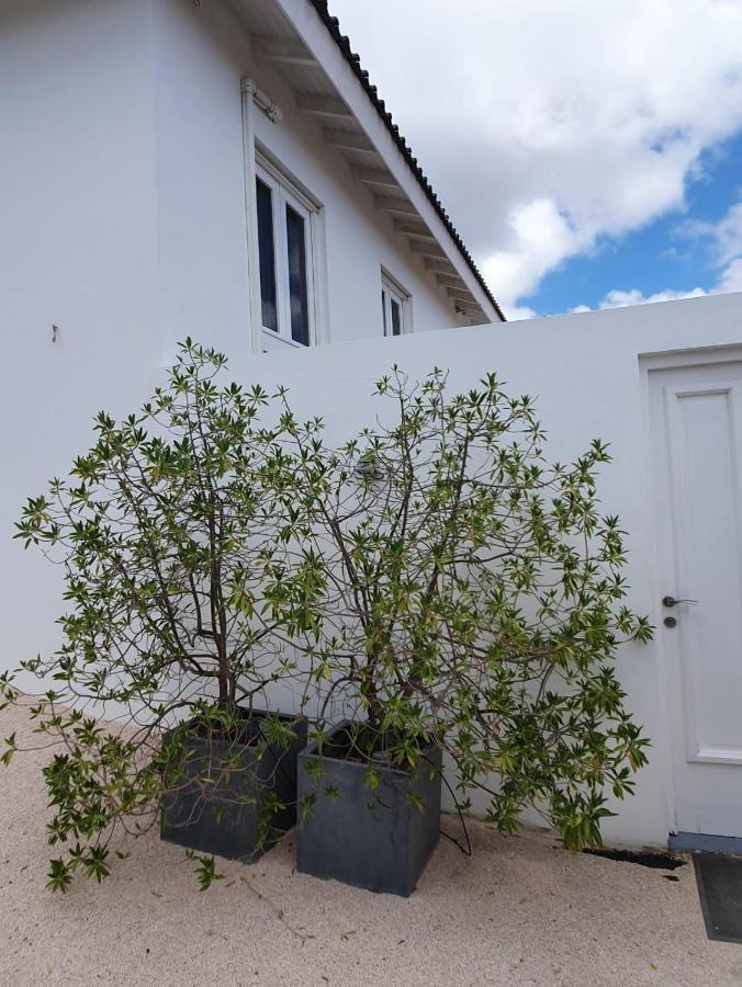 PENTHOUSE Jan Thiel Curacao Bed and Breakfast Willemstad Exterior foto